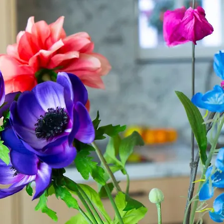 Semesterpark 'hoeve De Witte Olifant' *