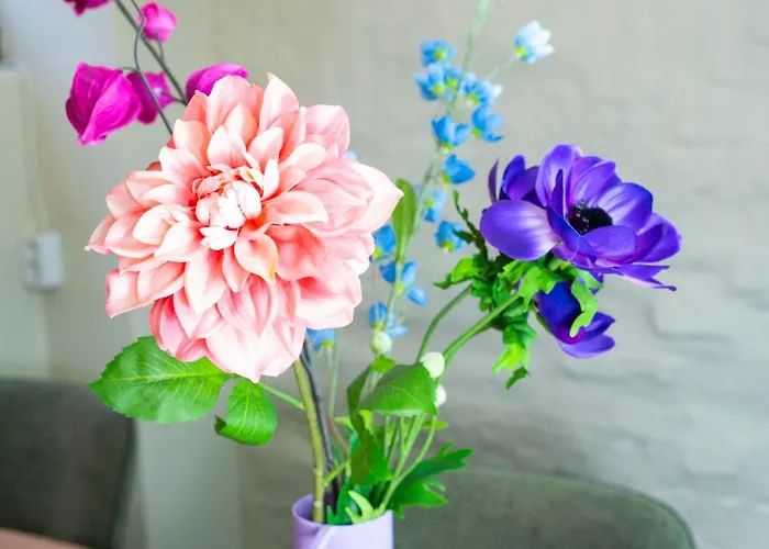 'hoeve De Witte Olifant' *