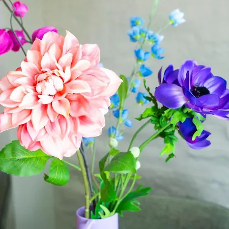 'hoeve De Witte Olifant' *